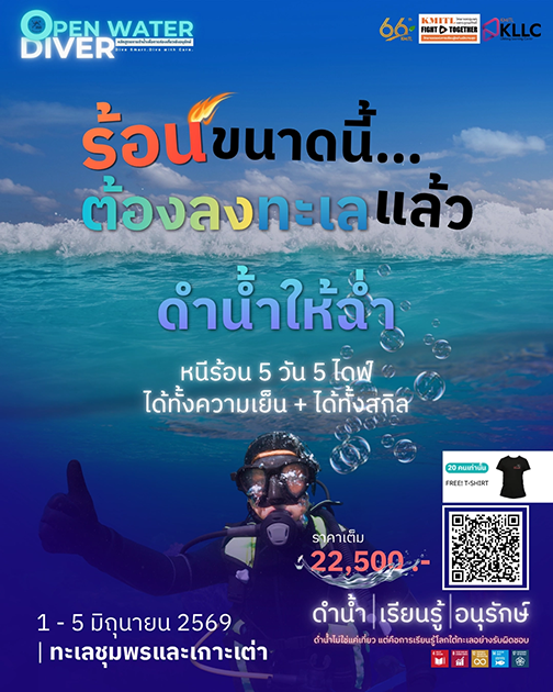 Course Open Water Diver – การดำน้ำเพื่อการท่องเที่ยวเชิงอนุรักษ์'s preview image